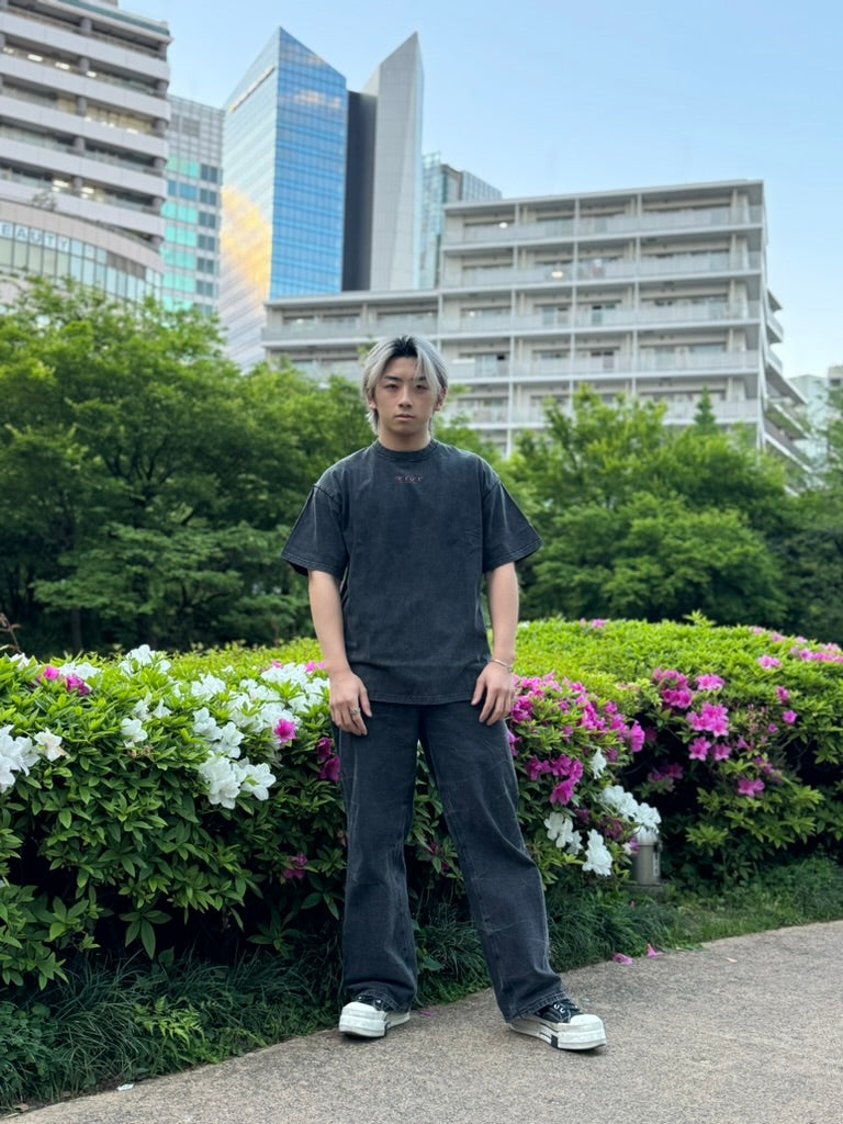 Hokkaido Graphic T-Shirt