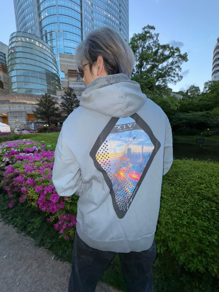 Neo Tokyo Hoodie