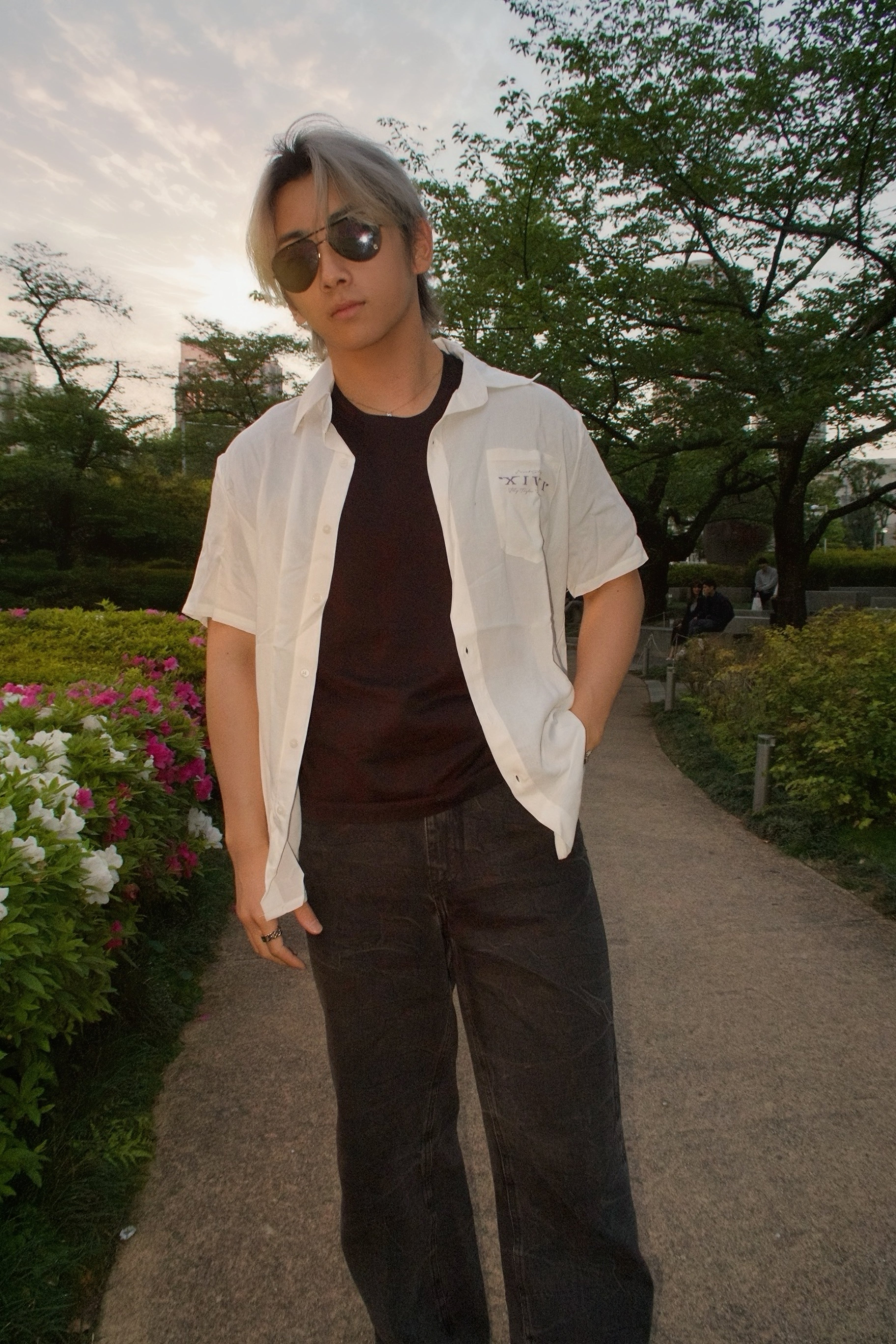 Mount Fuji SS Button Up