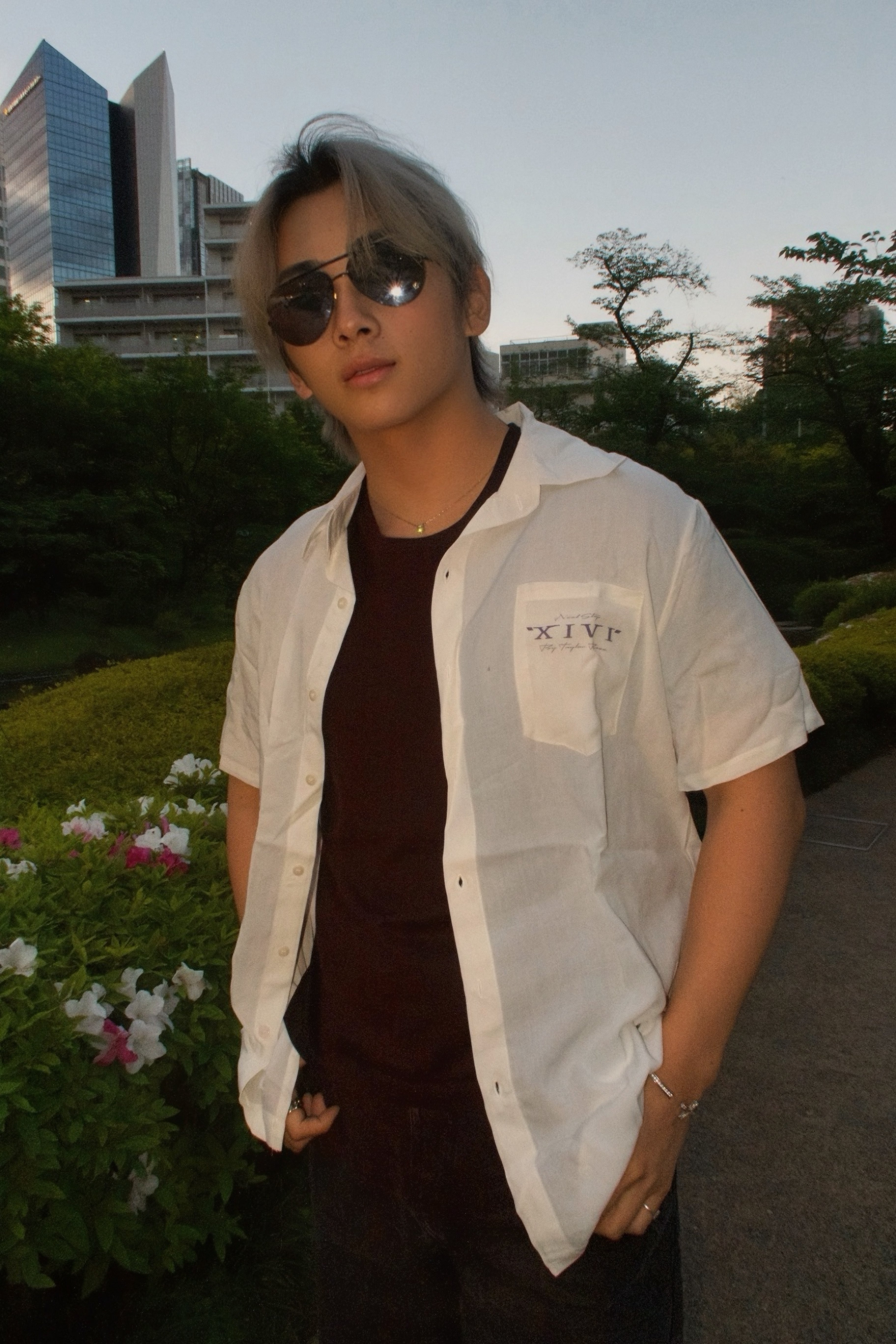 Mount Fuji SS Button Up